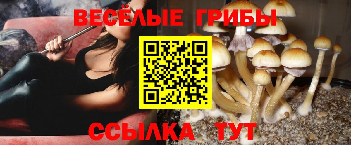 Галлюциногенные грибы Cubensis Апатиты